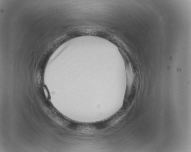 X0000082690597200702232207