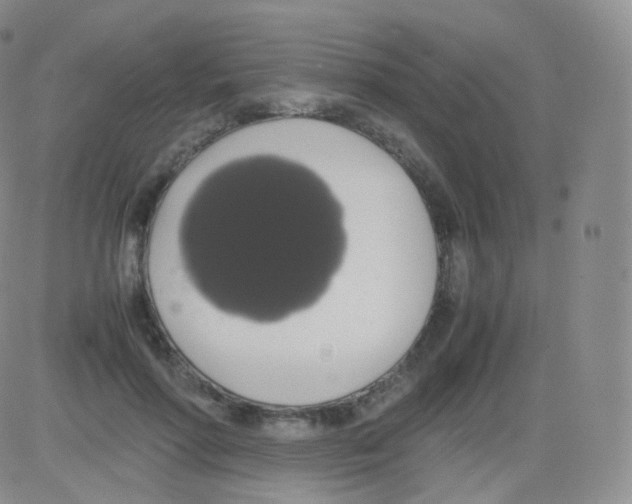 X0000082690598200702232206