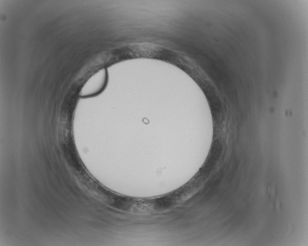 X0000082690599200702232206