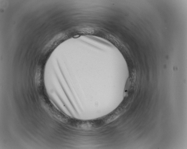 X0000082690600200702232206