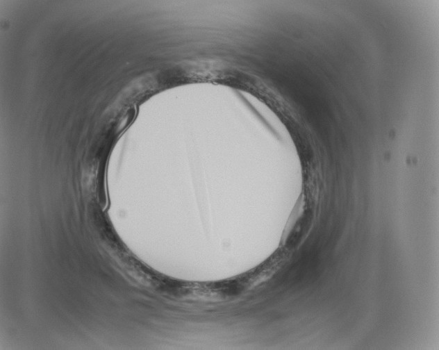 X0000082690601200702232206