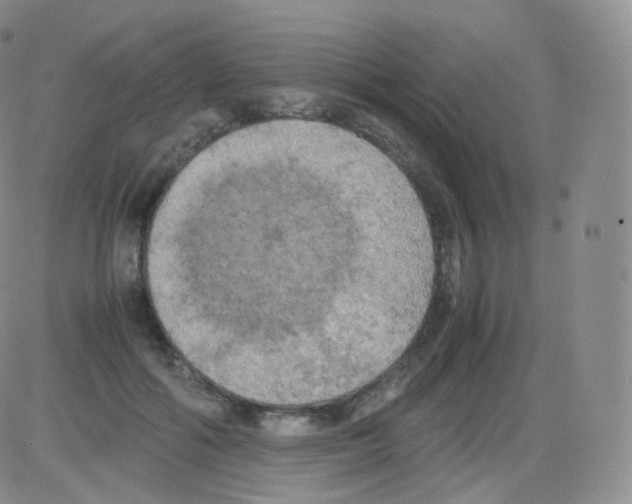 X0000082690602200702232206