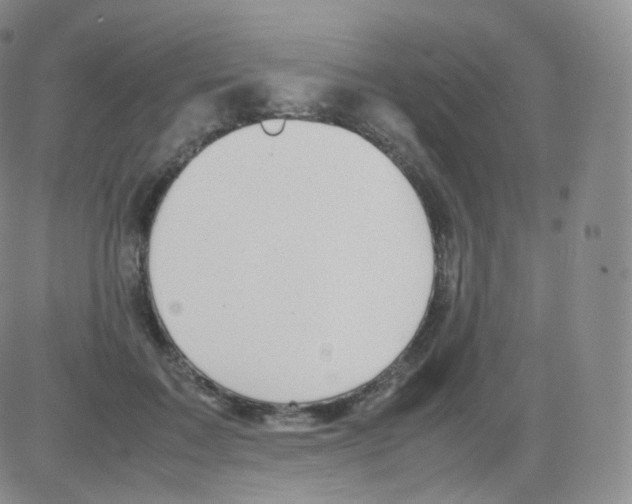 X0000082690603200702232206