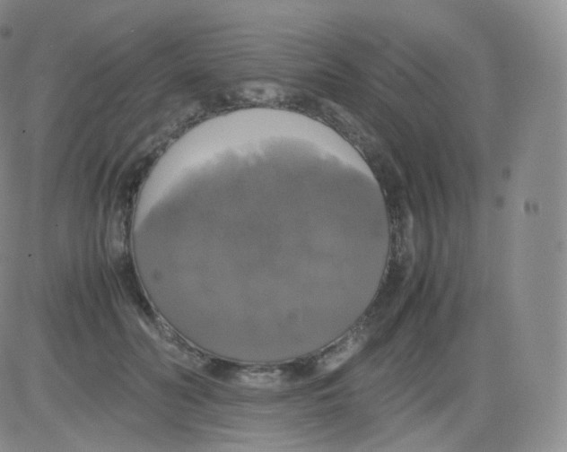 X0000082690606200702232206