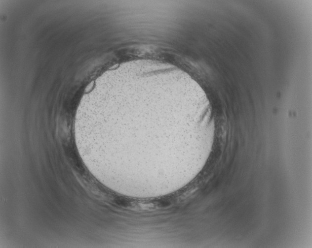 X0000082690607200702232206