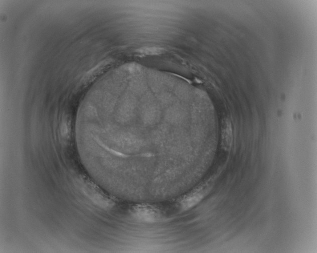 X0000082690608200702232206