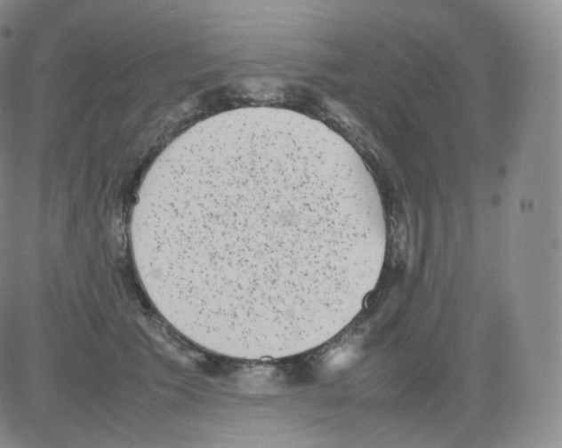 X0000082690609200702232206