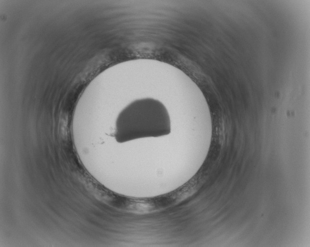 X0000082690610200702232206