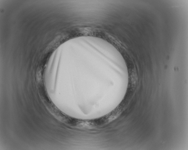 X0000082690611200702232206