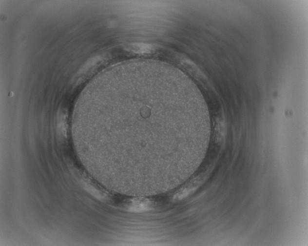 X0000082690612200702232206