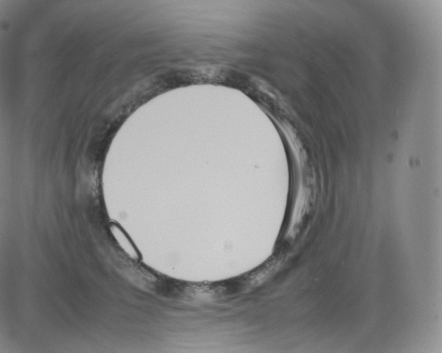 X0000082690613200702232206