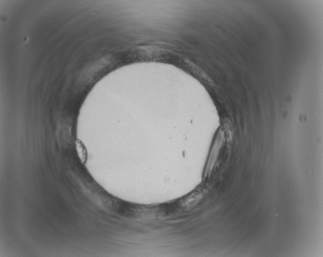 X0000082690615200702232206