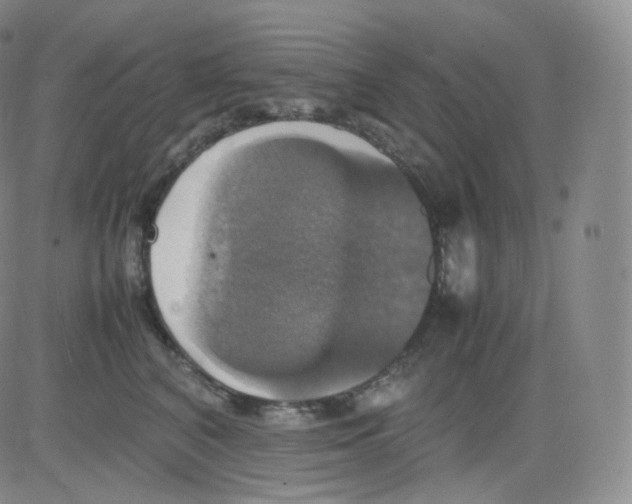 X0000082690616200702232206