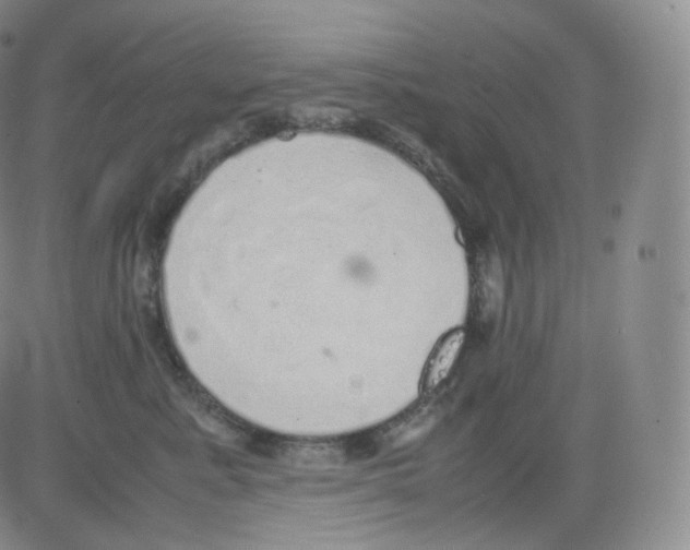 X0000082690619200702232206