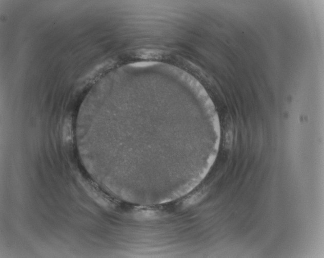 X0000082690620200702232206