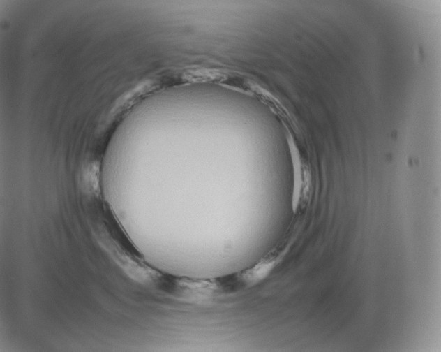 X0000082690621200702232206