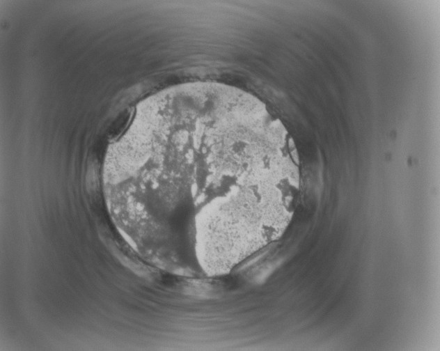 X0000082690623200702232206