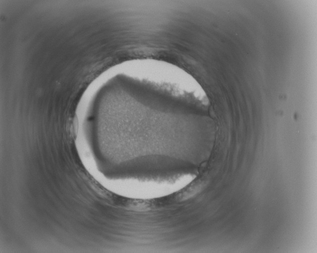 X0000082690624200702232206