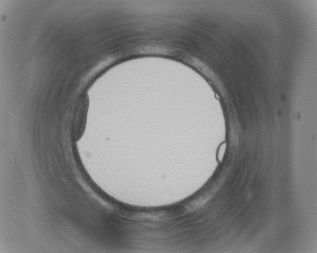 X0000082690625200702232205