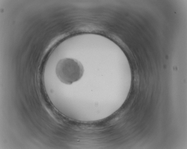 X0000082690626200702232205