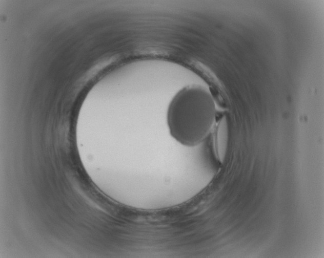 X0000082690627200702232205