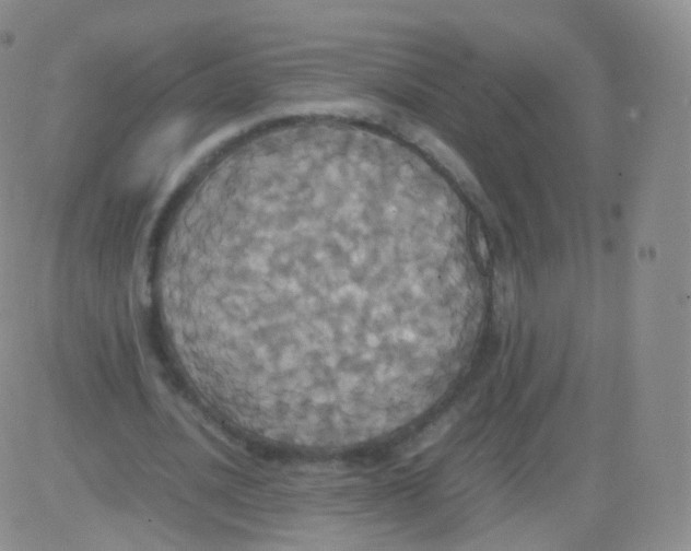 X0000082690628200702232205