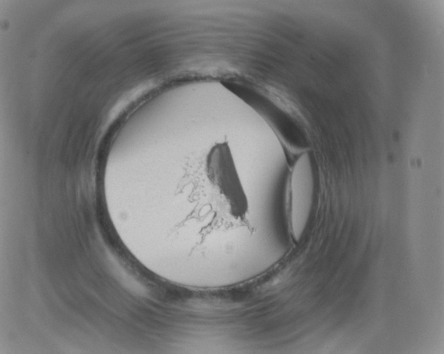 X0000082690630200702232205