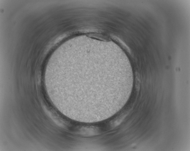 X0000082690631200702232205