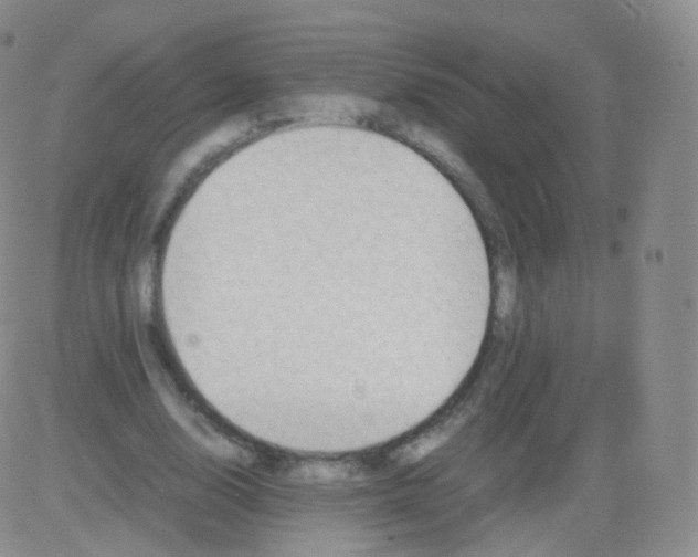 X0000082690632200702232205