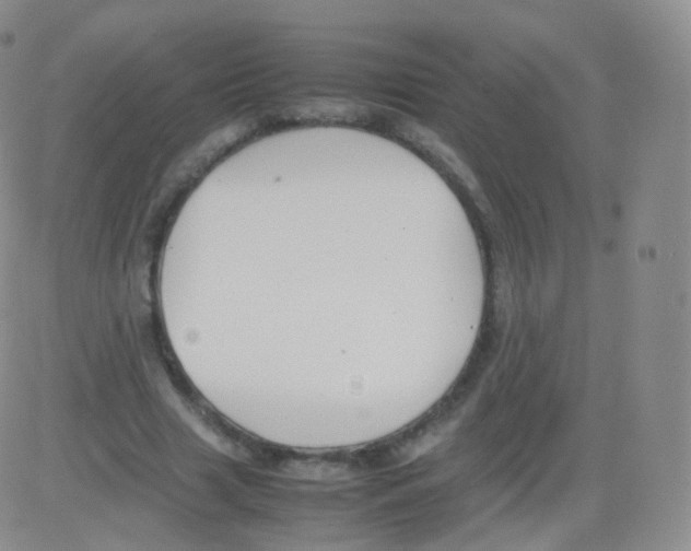 X0000082690633200702232205