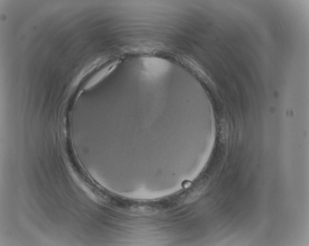 X0000082690634200702232205