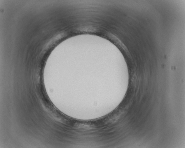 X0000082690635200702232205