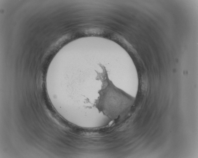 X0000082690637200702232205