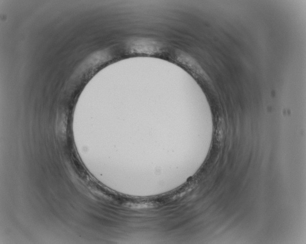 X0000082690639200702232205