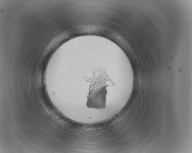 X0000082690640200702232206