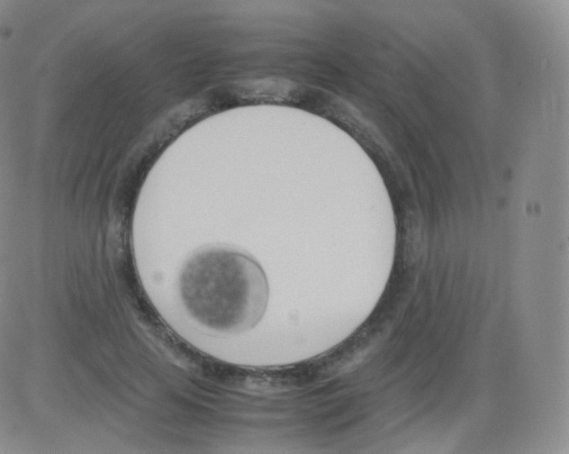 X0000082690641200702232206