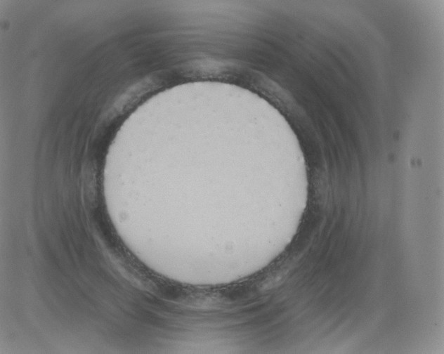 X0000082690642200702232206