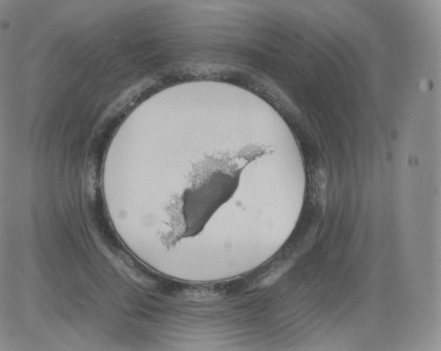 X0000082690644200702232206