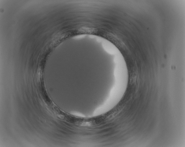 X0000082690647200702232206