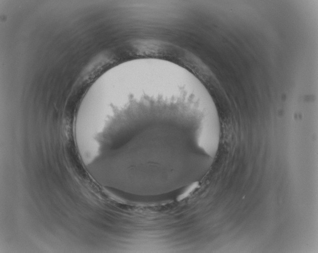 X0000082690648200702232206