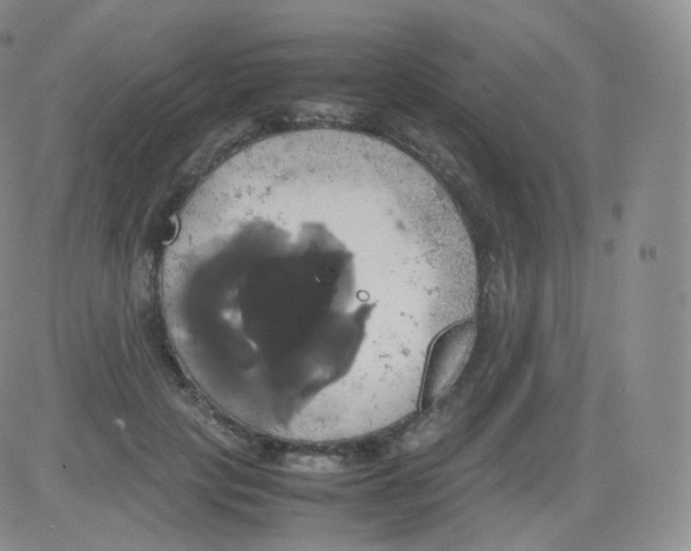 X0000082690649200702232206