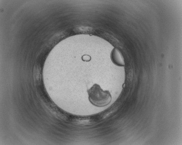 X0000082690651200702232206