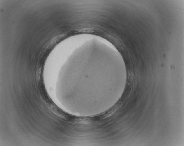 X0000082690652200702232206