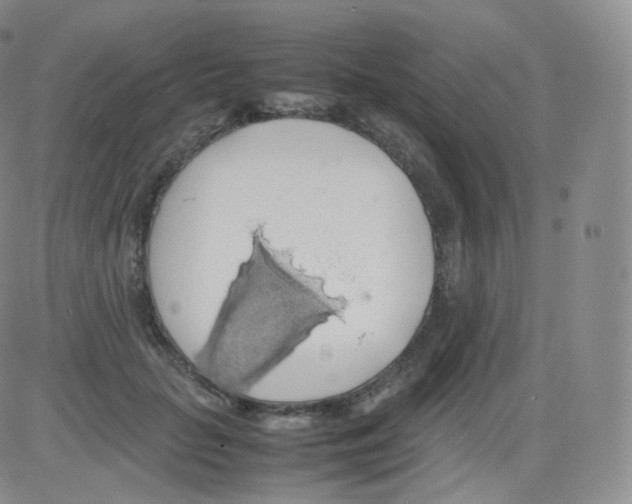 X0000082690653200702232206