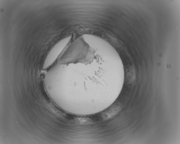 X0000082690654200702232206