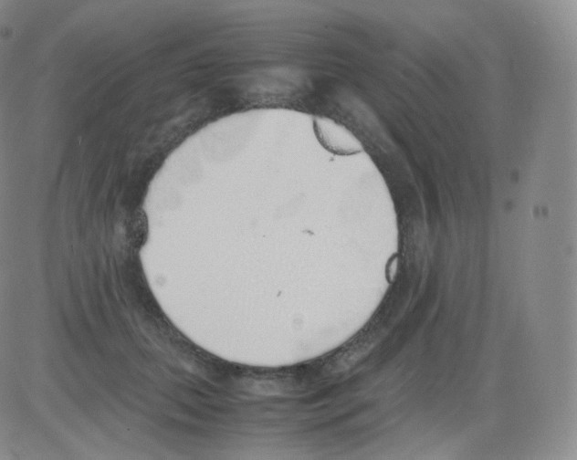 X0000082690655200702232206