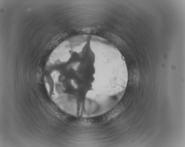 X0000082690656200702232206