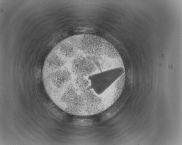 X0000082690657200702232206