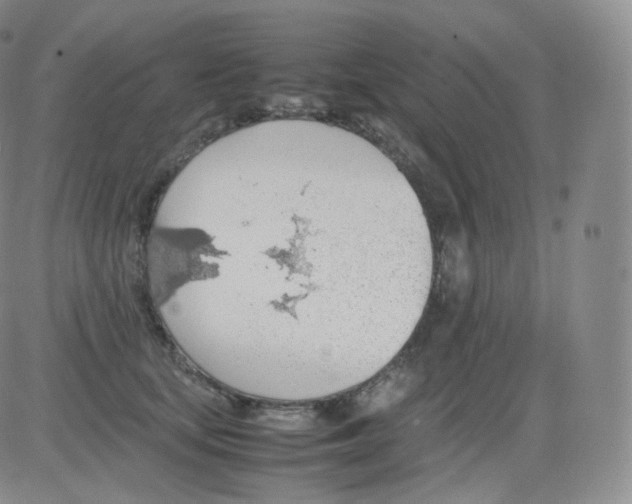 X0000082690659200702232206