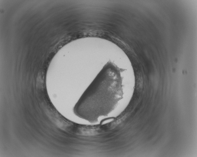 X0000082690661200702232206